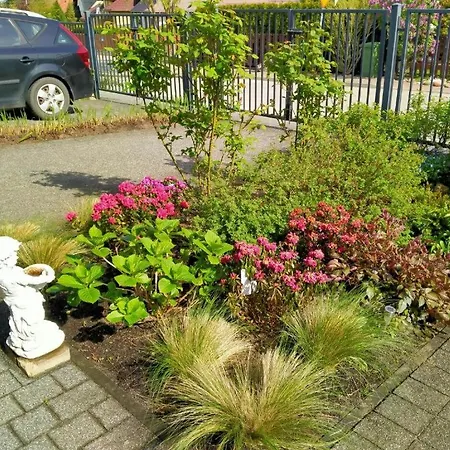 Brzask * Mosty (Puck)