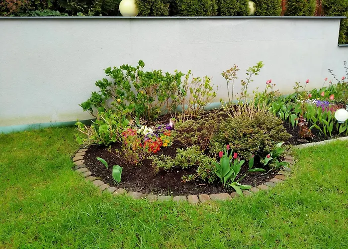 Brzask فيلة Mosty (Puck)